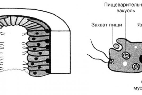 Clear ссылка на кракен